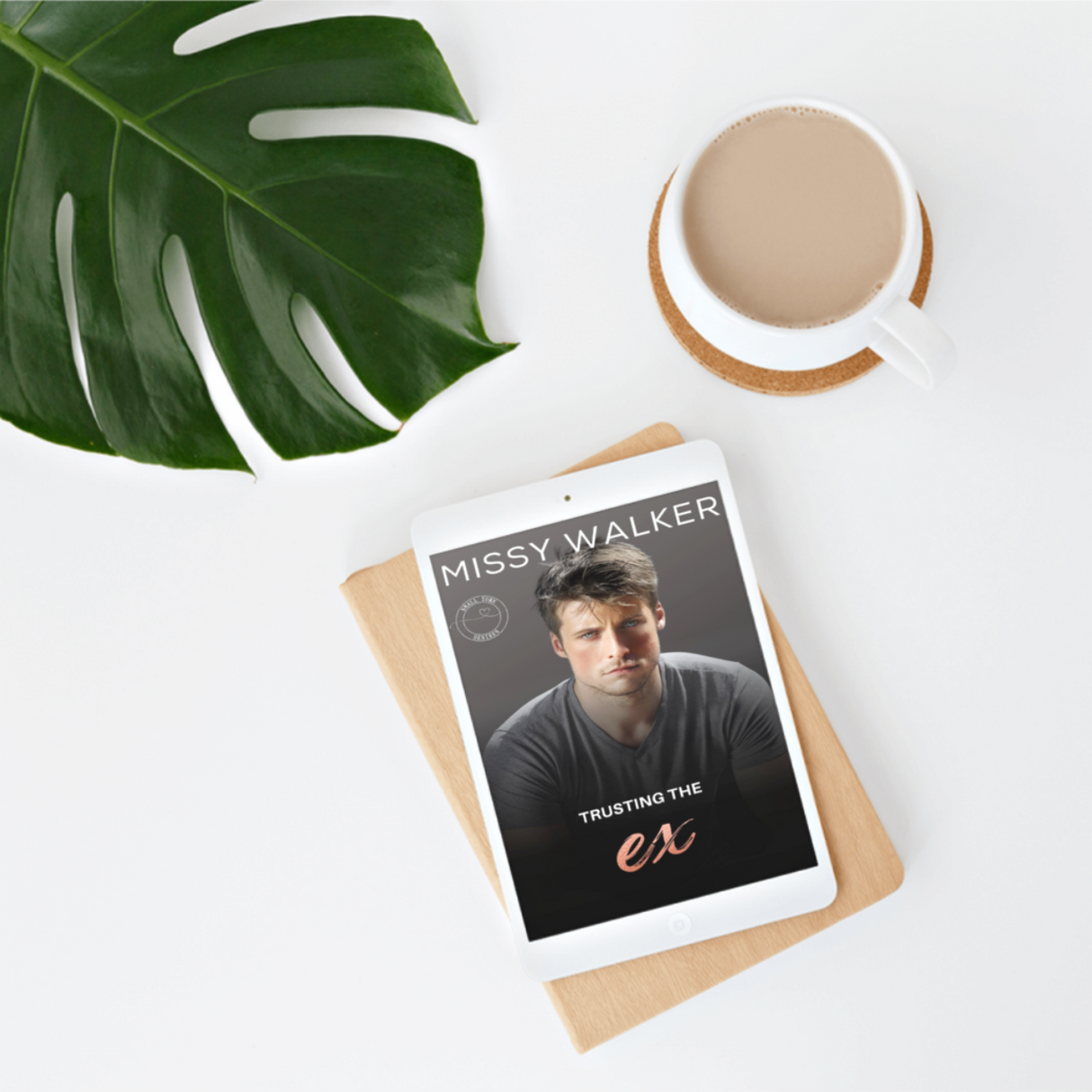 Trusting the Ex - eBook